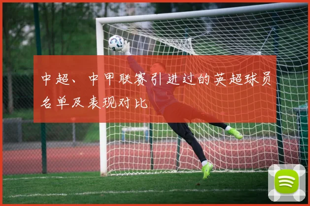 中超、中甲联赛引进过的英超球员名单及表现对比