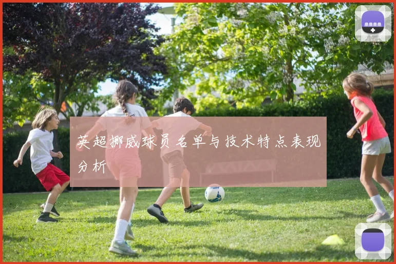 英超挪威球员名单与技术特点表现分析