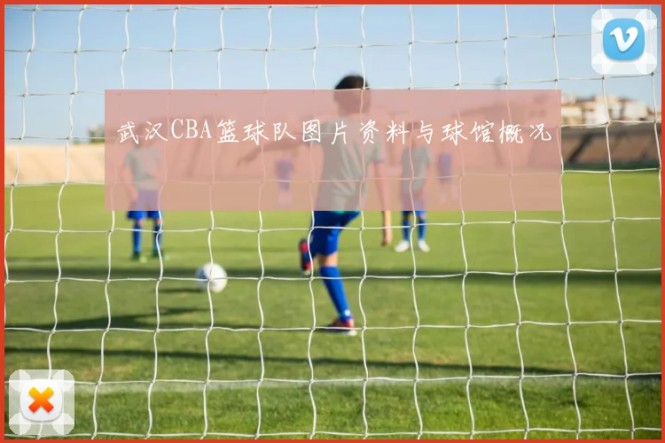 武汉CBA篮球队图片资料与球馆概况