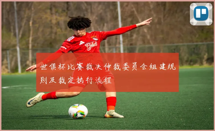 世俱杯比赛裁决仲裁委员会组建规则及裁定执行流程