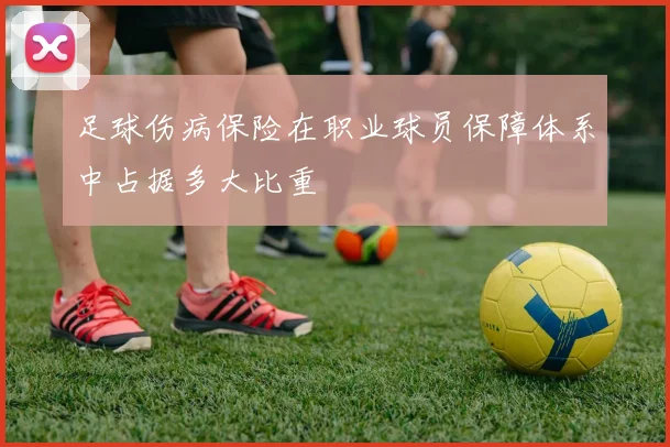 足球伤病保险在职业球员保障体系中占据多大比重